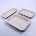 Wholesale biodegradable paper pulp bagasse food tray